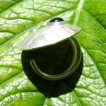 Sterling silver ring with o..