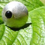 Sterling silver ring with o..